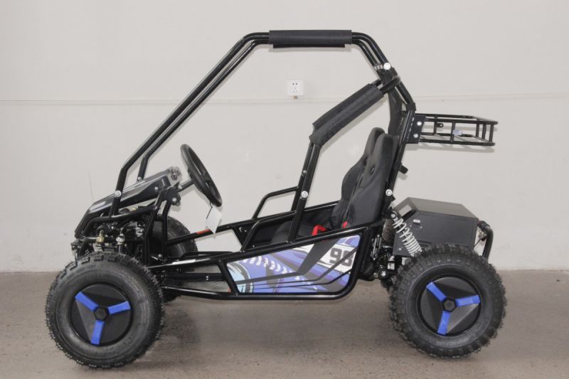 Багги GreenCamel Намиб T10 (60V 2000W R8 Дифф) Багги GreenCamel Намиб T10 (60V 2000W R8 Дифф)