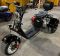 Электроскутер Citycoco Pro Trike 3000 Lux